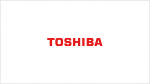 Remove BIOS Password from Toshiba  Satellite A665 (PSAW3L-03K00S)