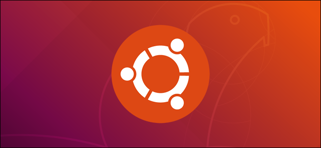 Install Anki package in Ubuntu